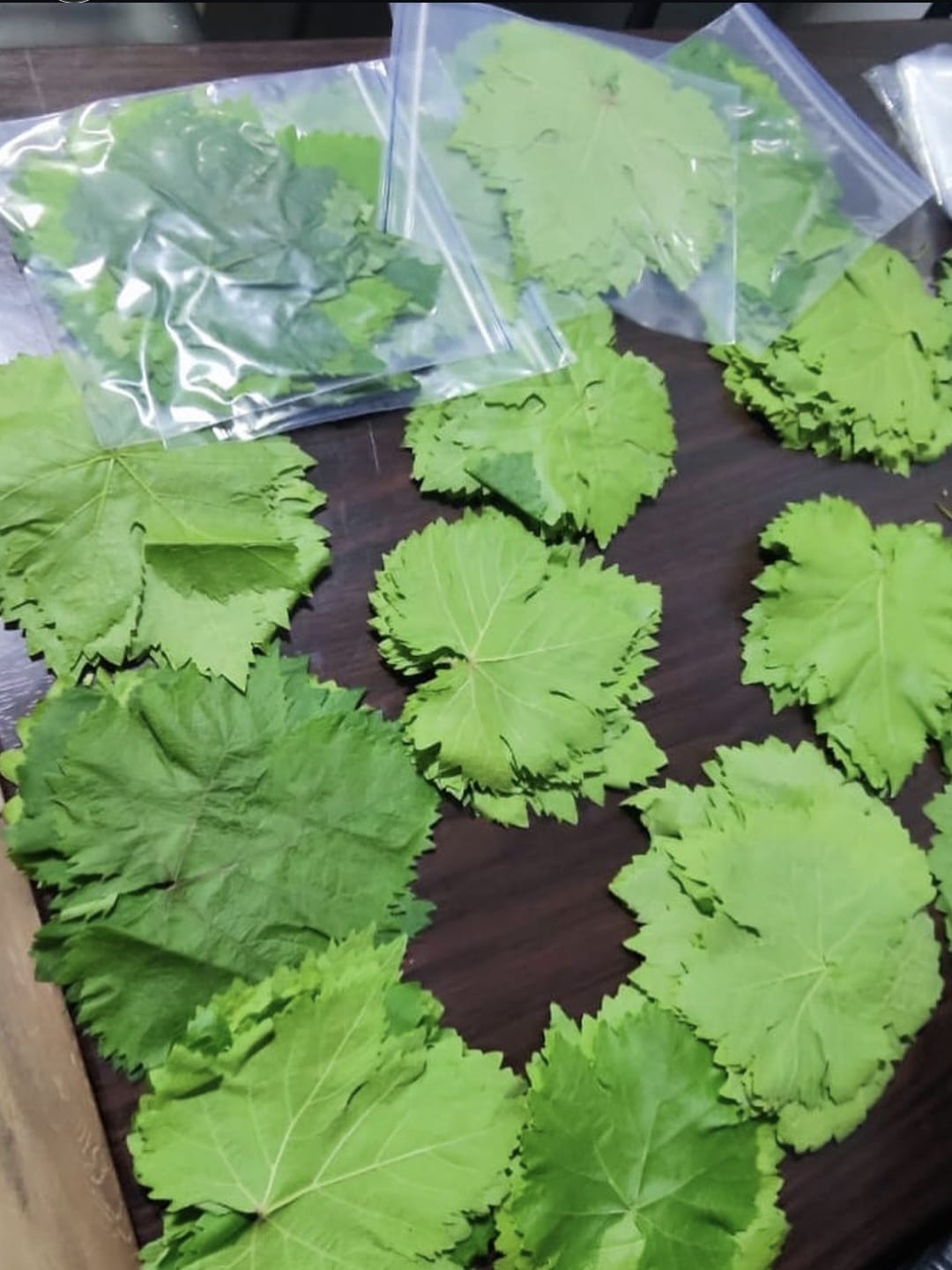 Manitos de Monja